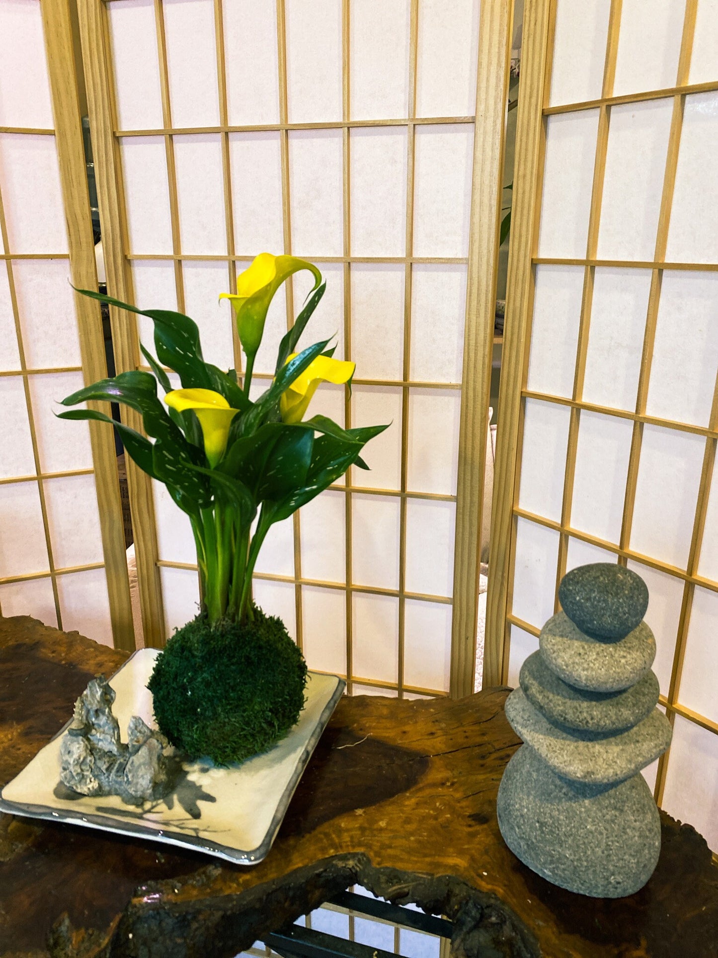 Large Calla Lily Kokedama - Moss ball with Beautiful Calla Lily