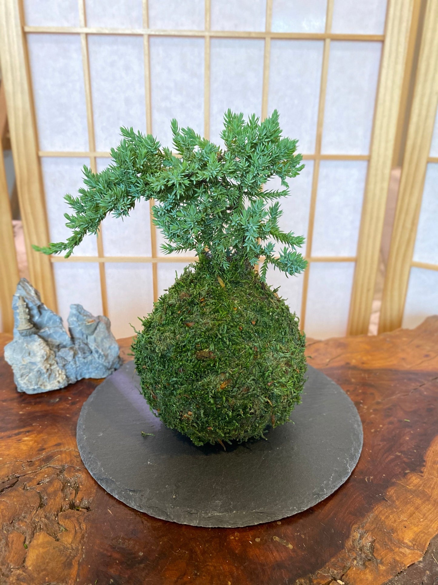 Round Slate plate black made by natural stone, 8" diameter. Great decoration for Bonsai, Kokedama, wafu atmosphere