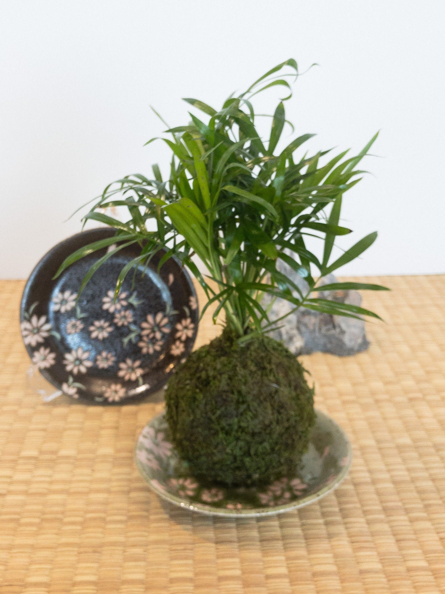 Small Japanese flower paint with wafu designed Saucer for small Kokedama Size 4.75" diameter x 1" height