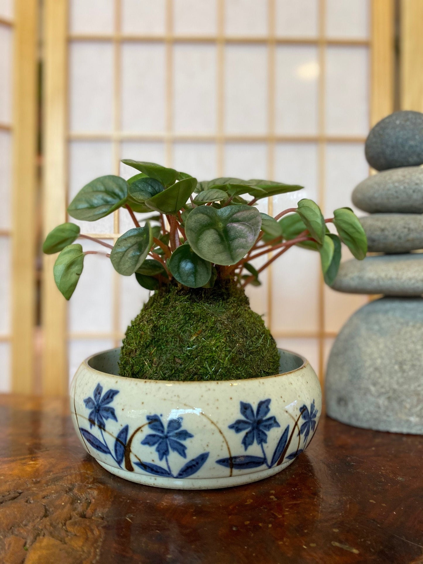 Flower sometsuke 染付, Japanese Ceramic deep Bowl, good for Medium Kokedama. Size: 6" diameter, 2.5 inch height.