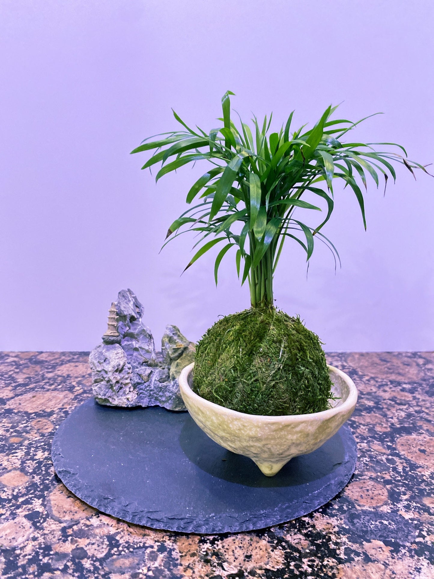 Round Slate plate black made by natural stone, 8" diameter. Great decoration for Bonsai, Kokedama, wafu atmosphere
