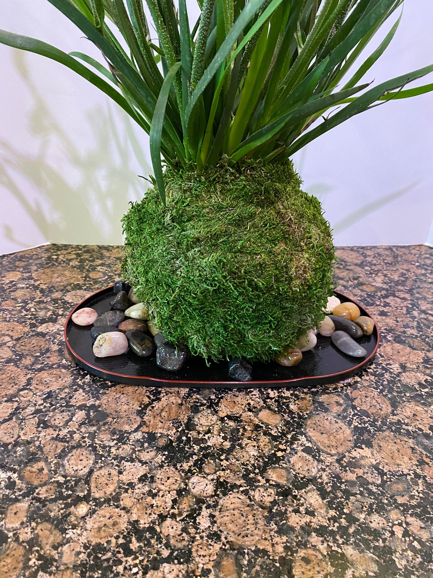Oval light weight, yamanaka-nuri, mokume, koban tray, obon type plastic saucer for large Kokedama. 11.5" x 7"