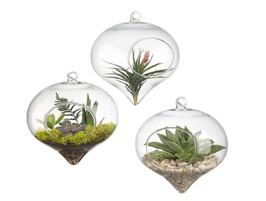 Glassware 5" x 6" Rope Hanging Terrarium