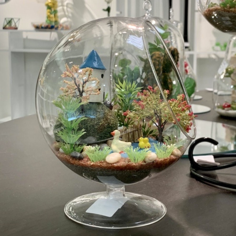 Slant Bowl Terrarium 6x7