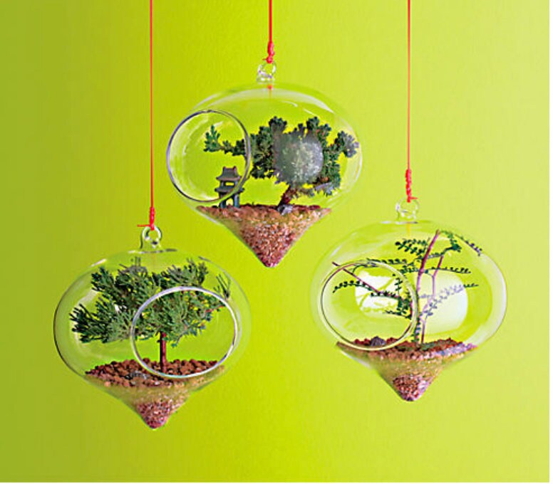 5" x 6" Rope Hanging Terrarium