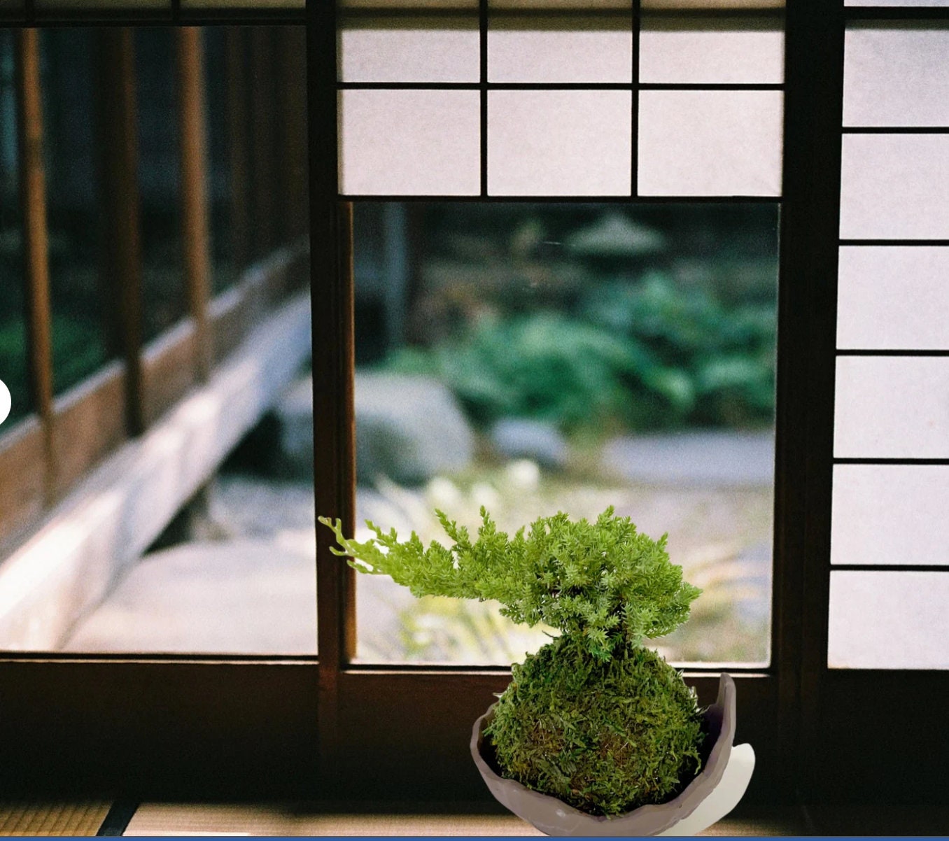 盆栽鉢 山野草鉢 鞍馬石 ウ泥 瀬戸焼 Seto-kilin, Japanese Bonsai Clay Saucer, Size 3.9" x 5.9"