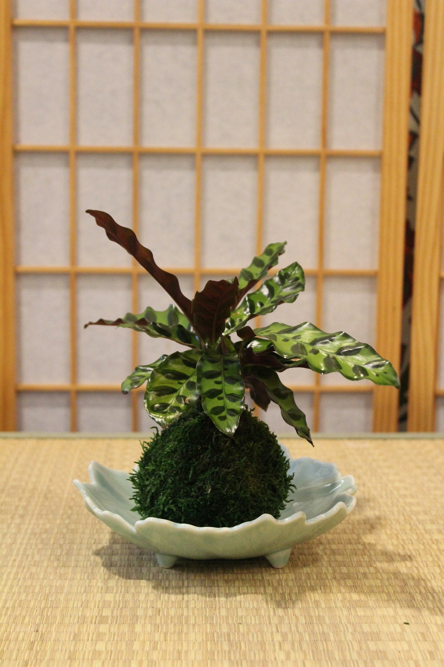 Japanese pottery Leaf designed plate, Made in Toki, Japan 7.25″ x 2.5″H