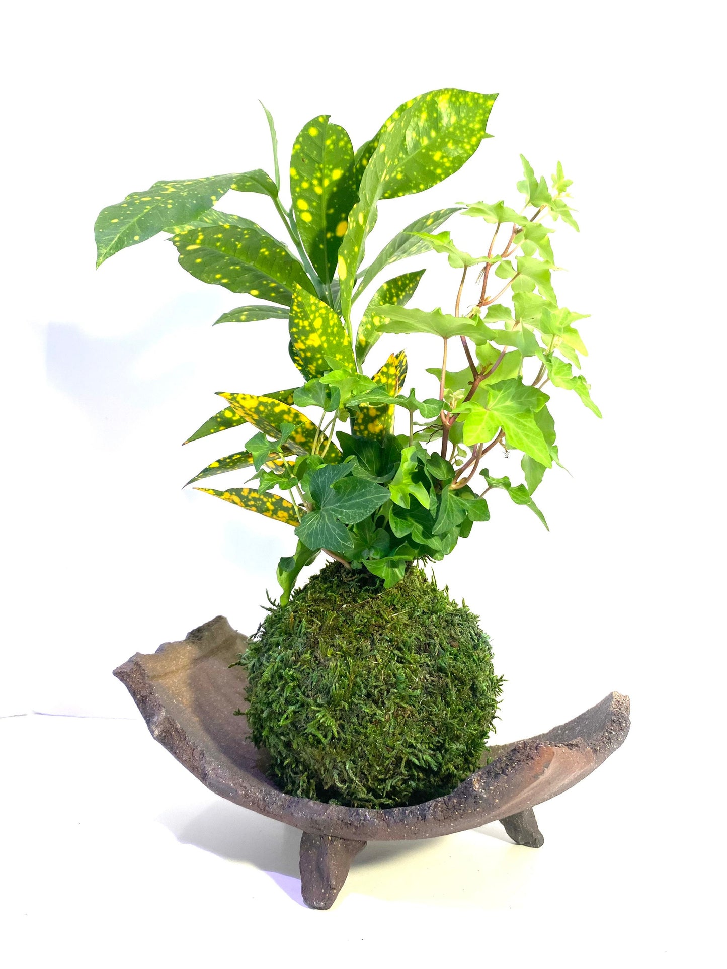 信楽焼Shigaraki ware Kokedama Saucer with legs, Japanese Ceramic saucer, Wafu, long rectangle