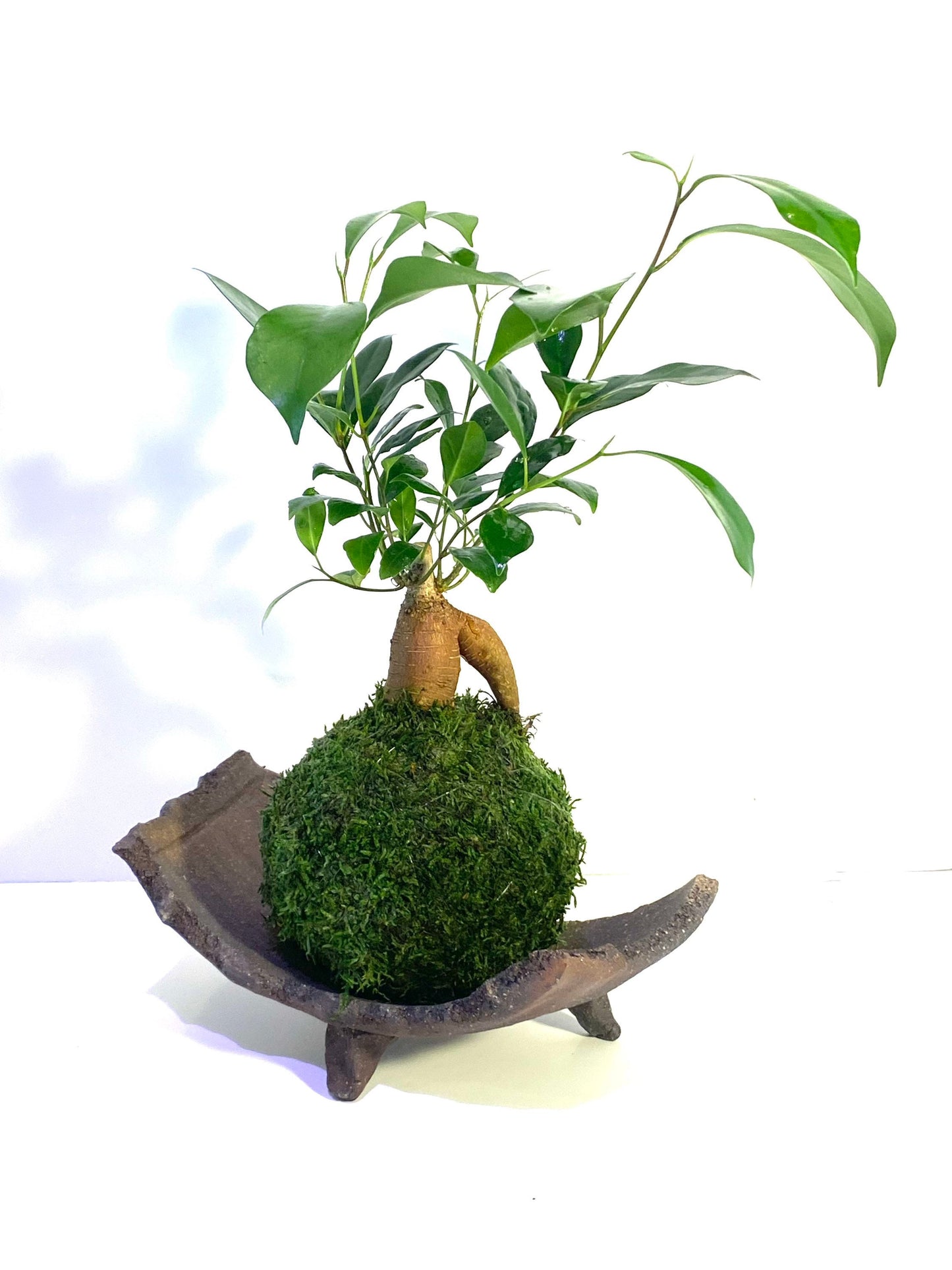 信楽焼Shigaraki ware Kokedama Saucer with legs, Japanese Ceramic saucer, Wafu, long rectangle