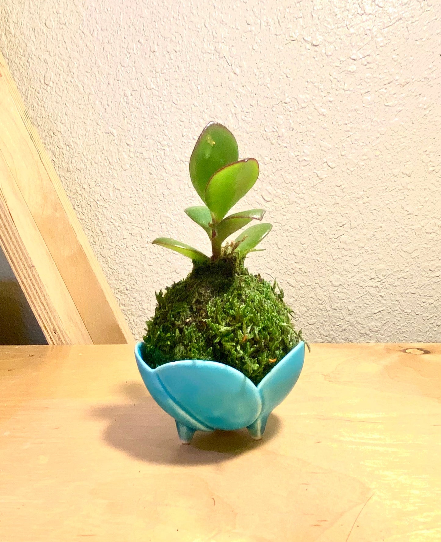 Mini jade with light blue small bowl made in Japan 2" x 1.5" h