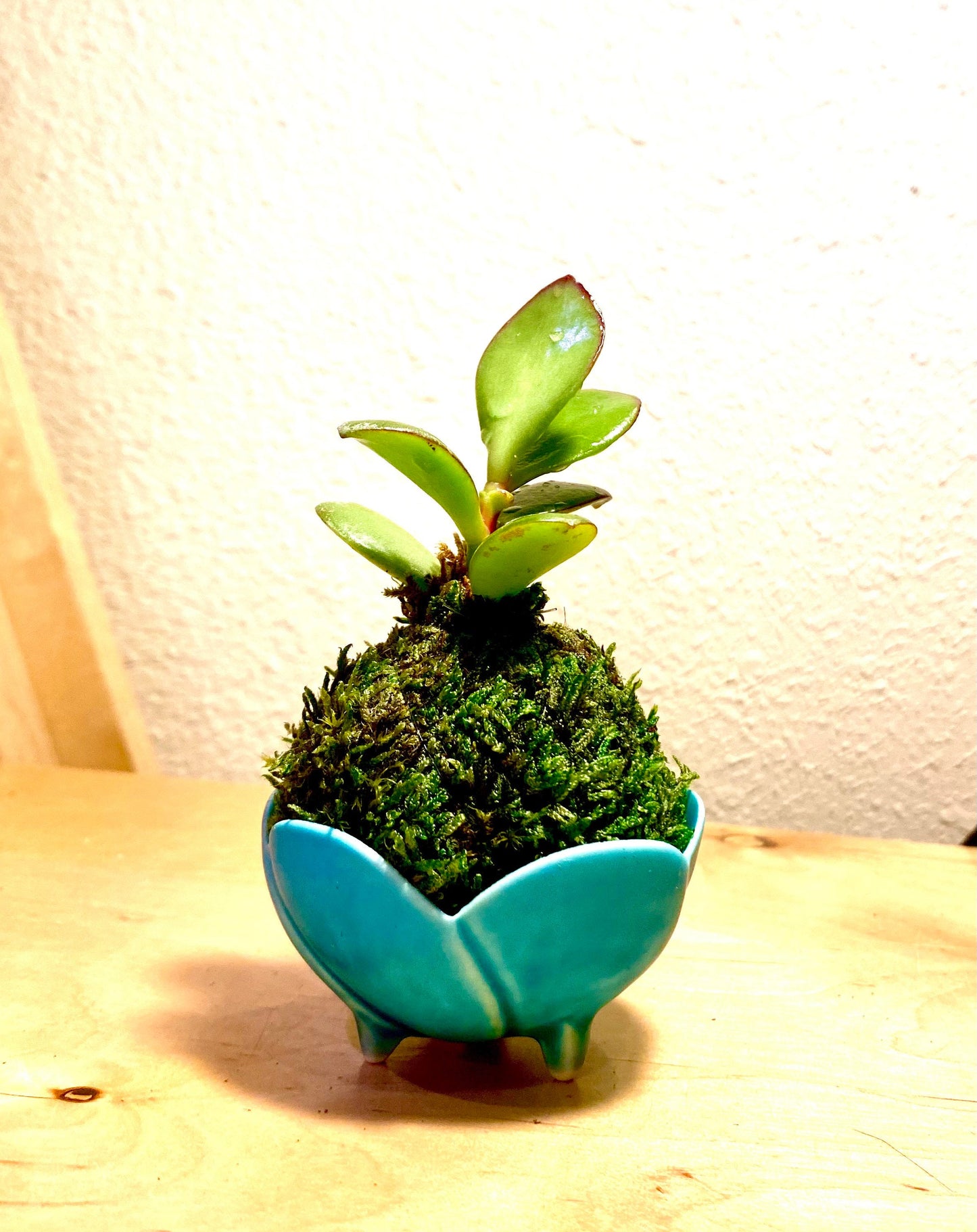 Mini jade with light blue small bowl made in Japan 2" x 1.5" h