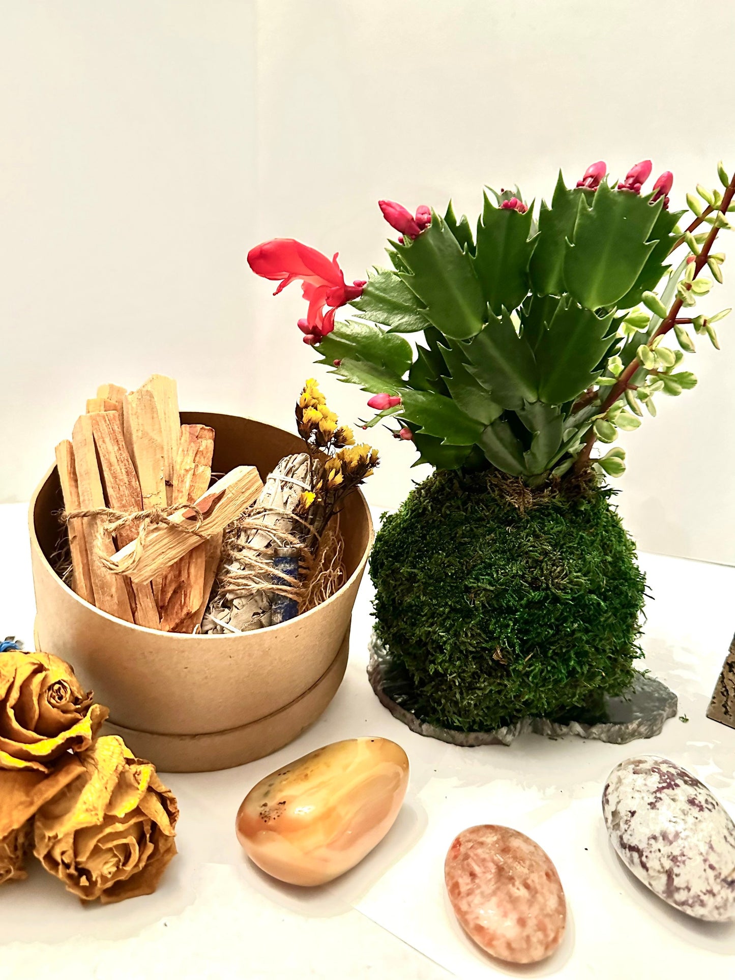Christmas Gift Bundle! Christmas Cactus arranged Kokedama, healing gem stone, clearing white sage and Santo points wood.