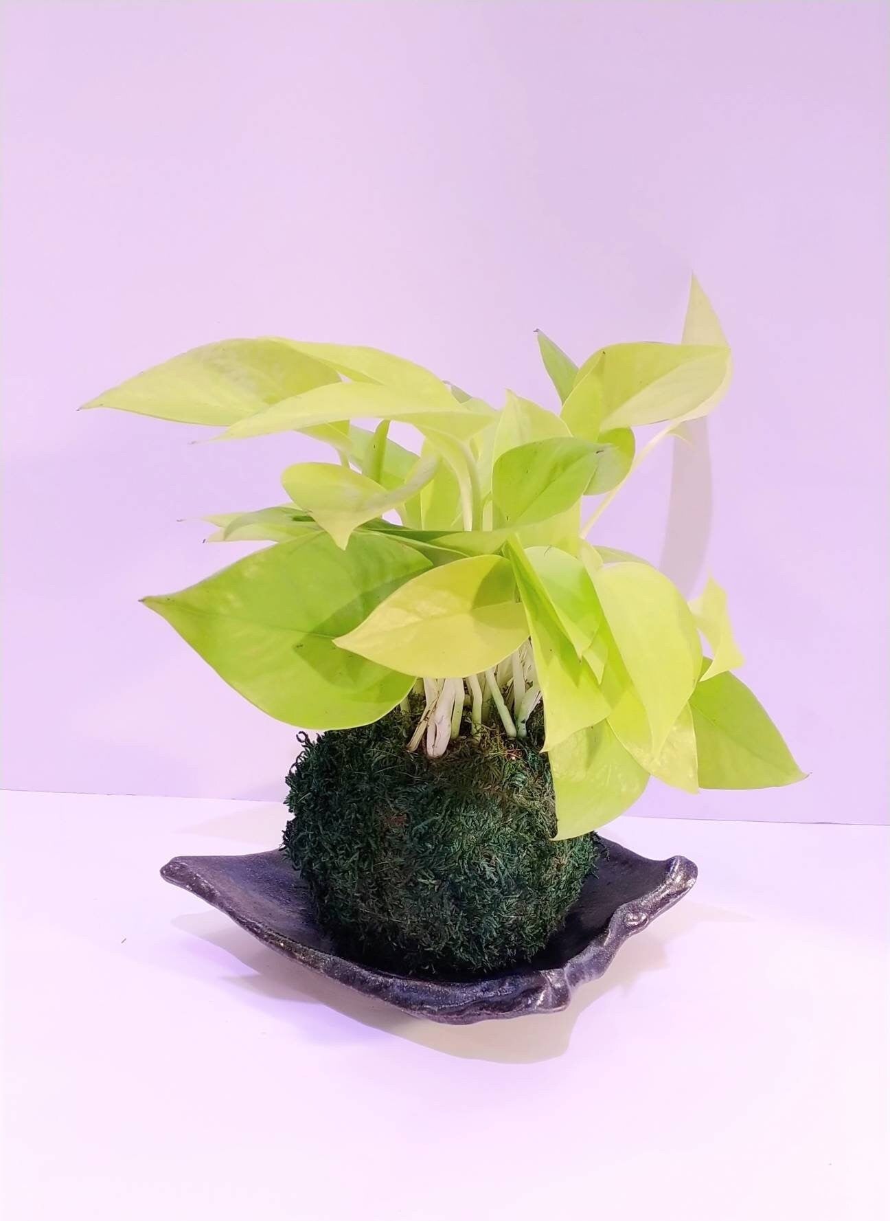 Deep blue grazed Kokedama Saucer with legs, Japanese Ceramic saucer, Wafu, square