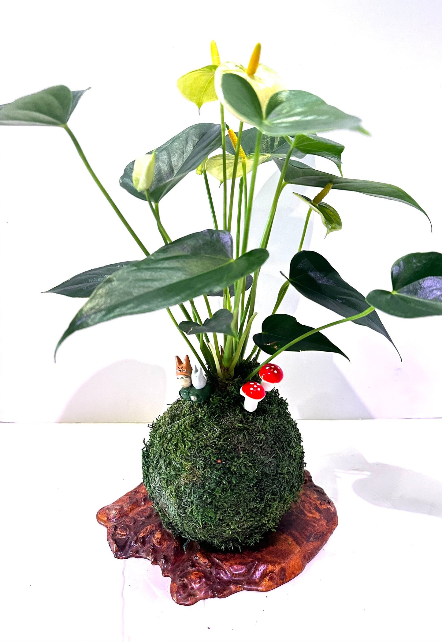Miniature Totoro doll as Kokedama Charm comes with 3pcs
