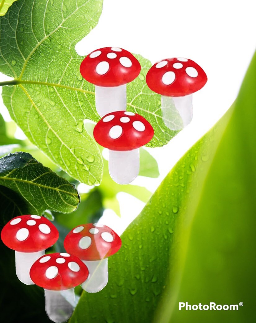 Miniature Mushroom for Kokedama Charm 3pcs