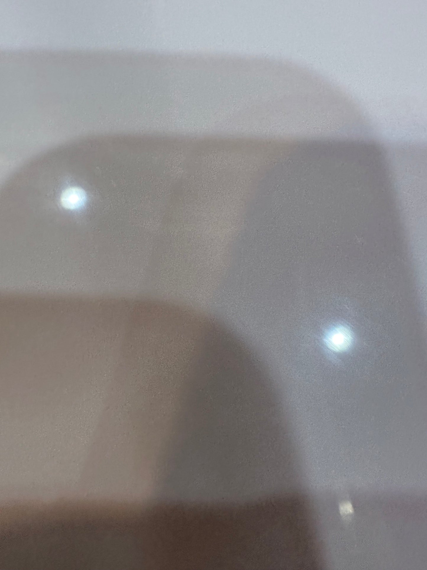 Rex Begonia Kokedama - Bonsai Ball - house plant