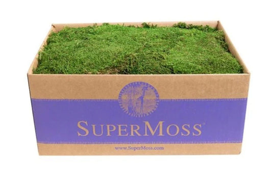 Preserved Sheet Moss Bulk