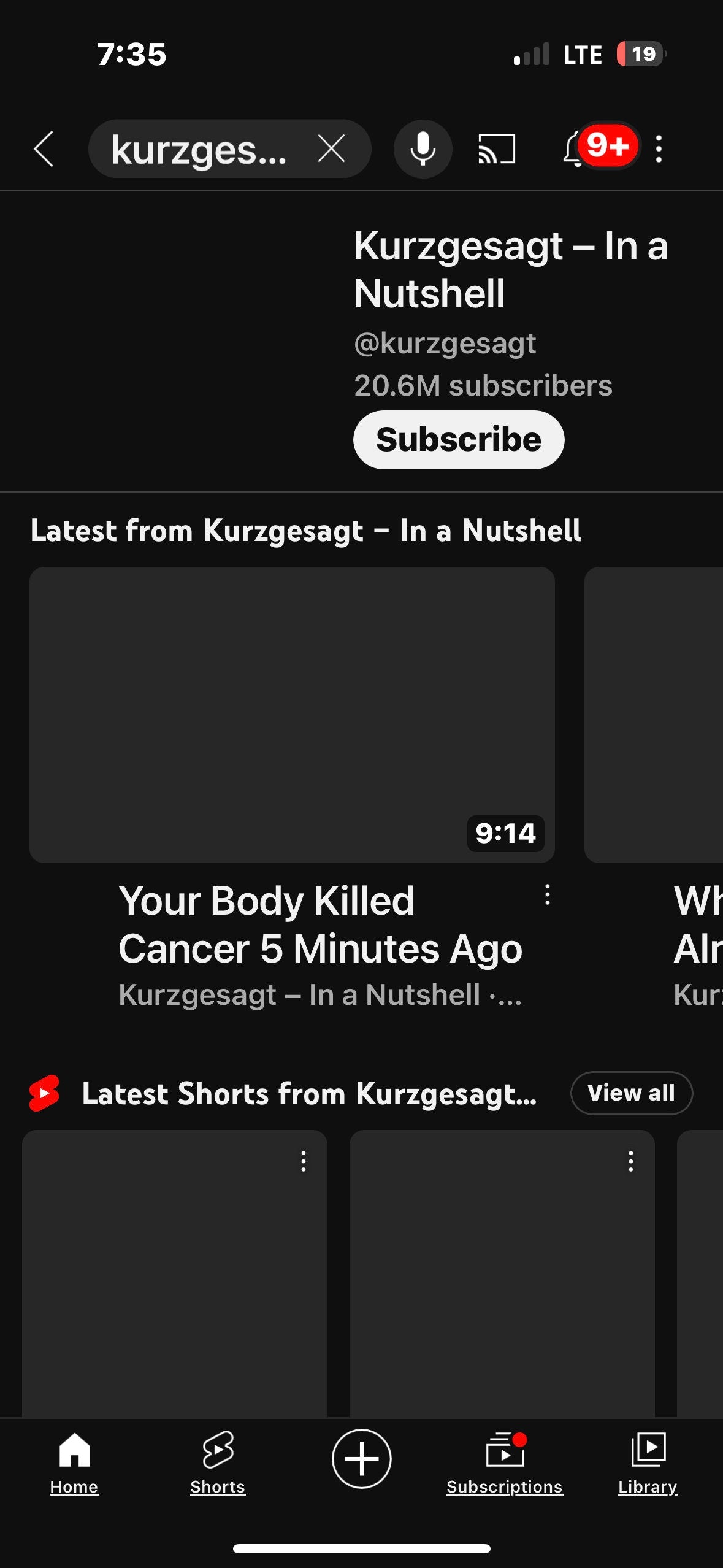 Rex Begonia Kokedama - Bonsai Ball - house plant