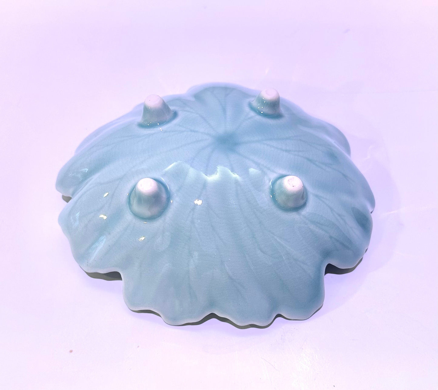 Light green leaf shaped ceramic Saucers for Medium to large Kokedama. 7" diameter, 2" deep.