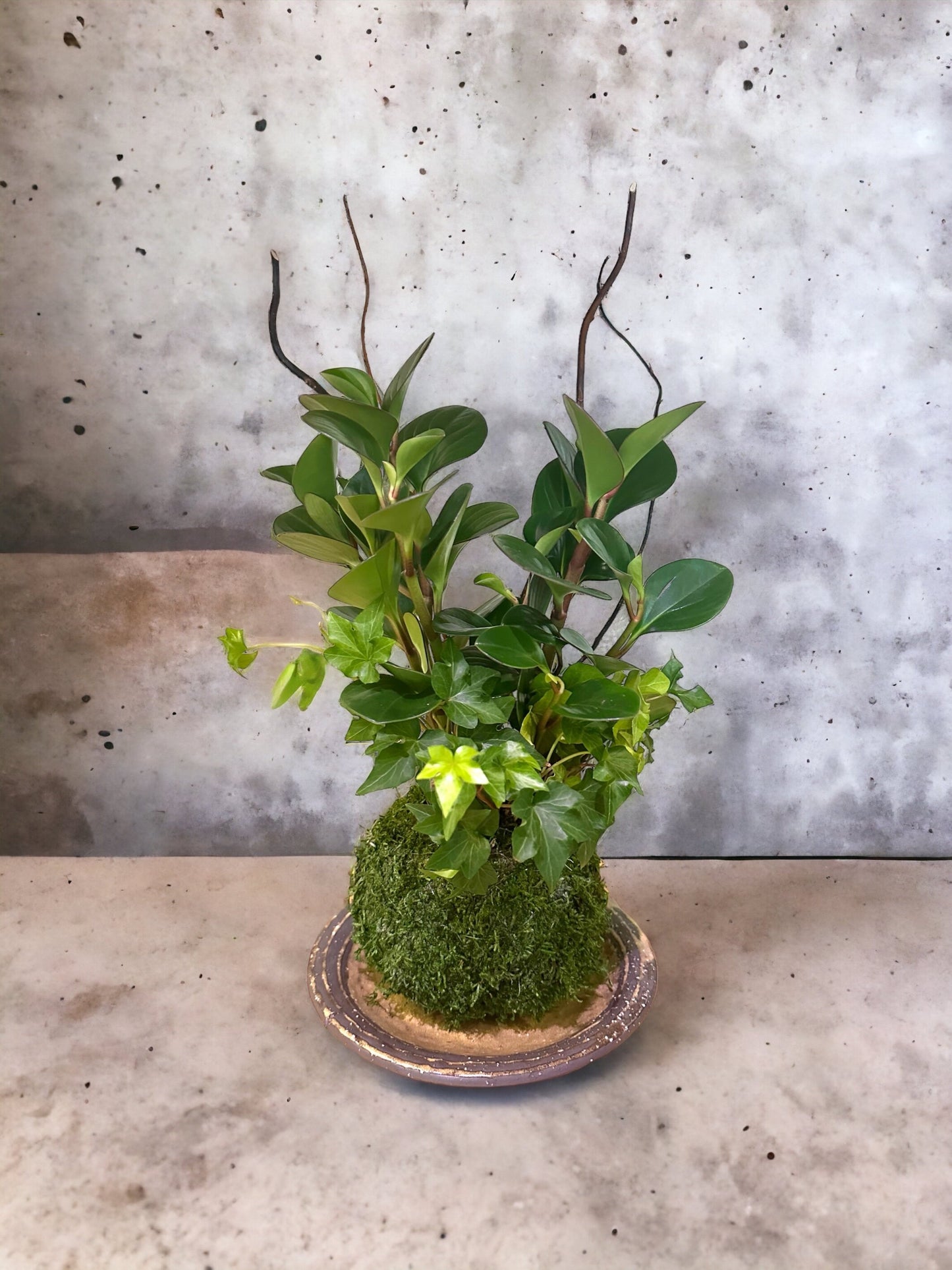 Ocher, Japanese traditional ceramic. Beautiful earth ocher colored with dry brush stroke on the edge with darker earthy brownish color.