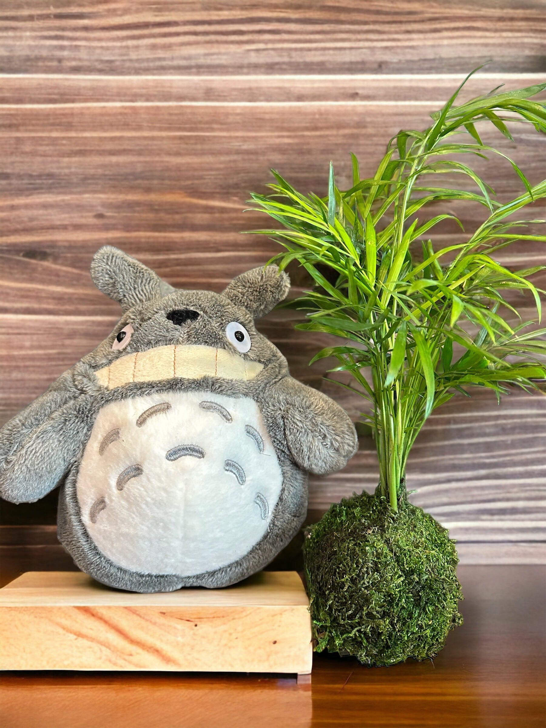 Green totoro plush online