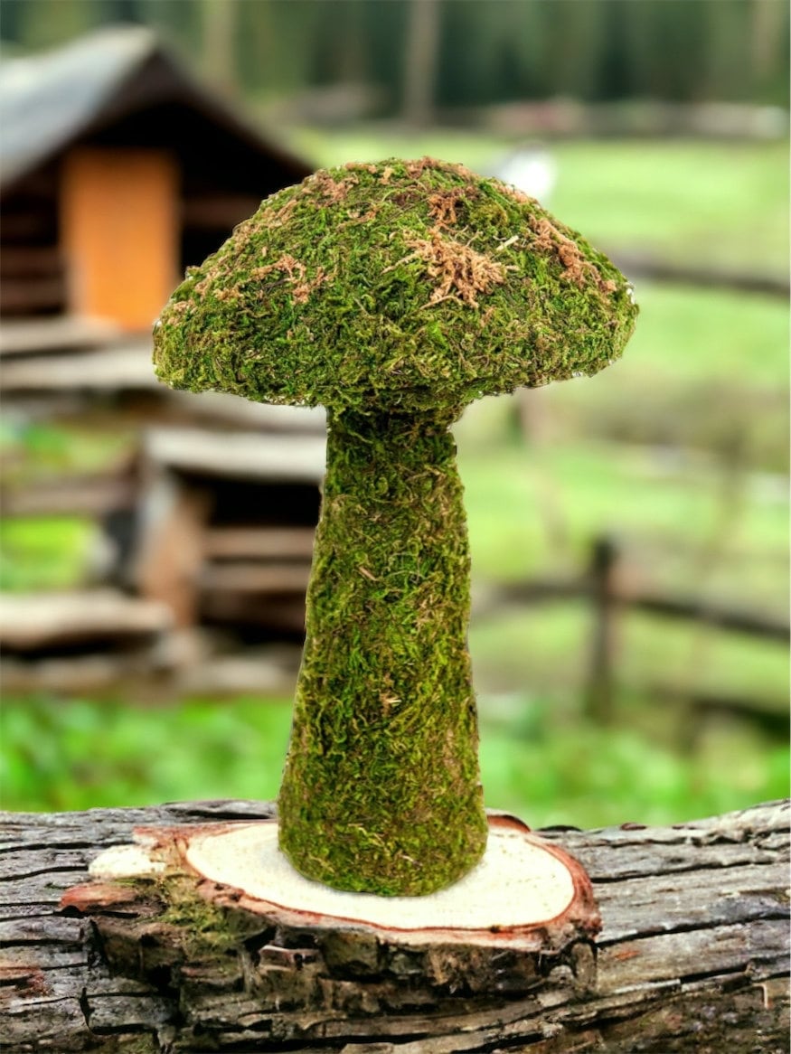 Mushroom deco garden, cute mushroom shape covered with preserved fresh green colored moss