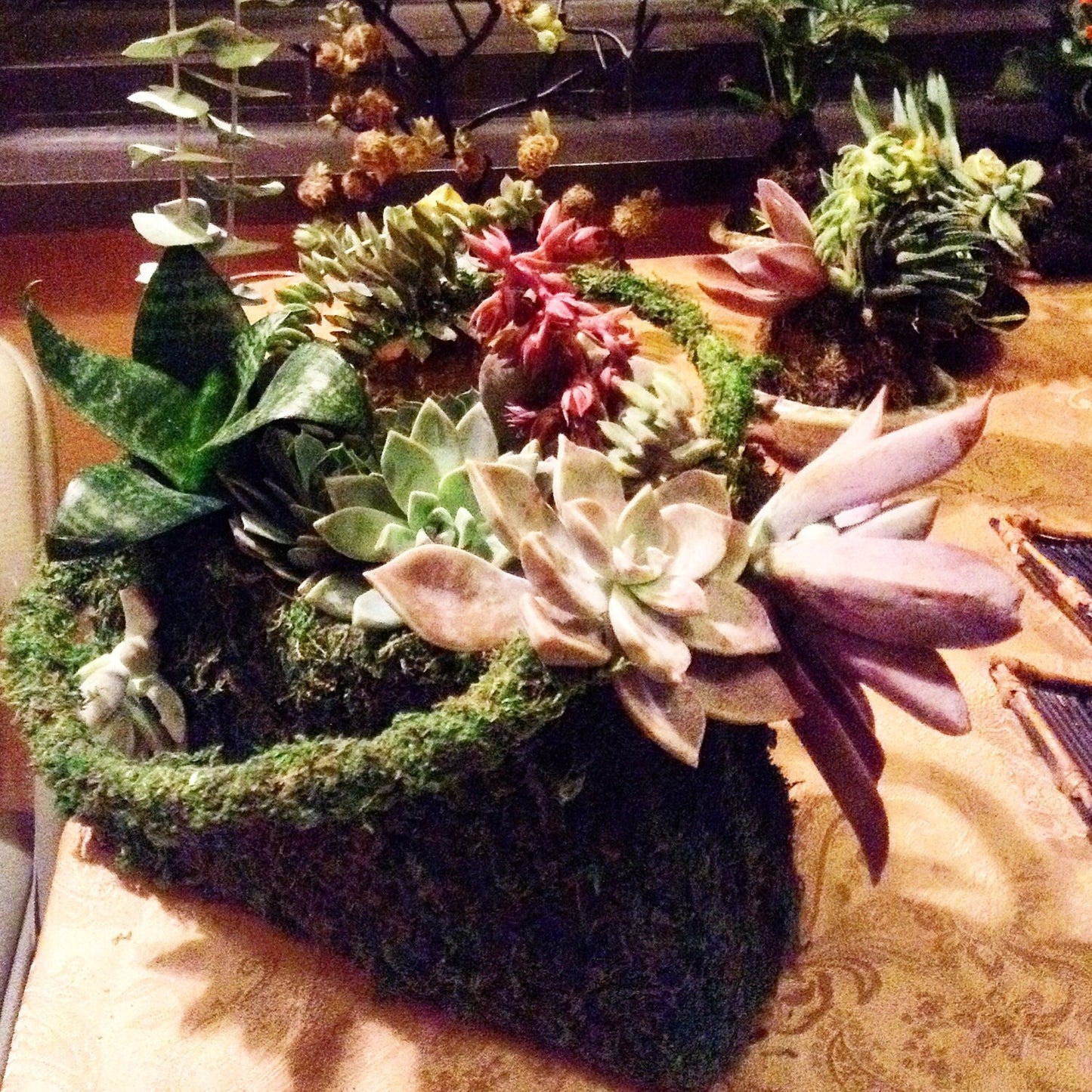 Deco Purse - Fresh Green Moss Basket!  Create your own moss basket garden.