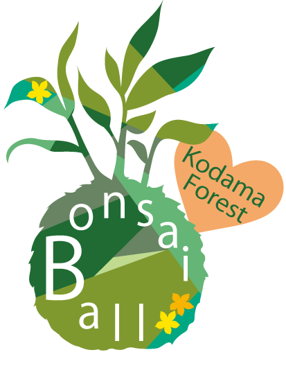 Kodama Forest logo