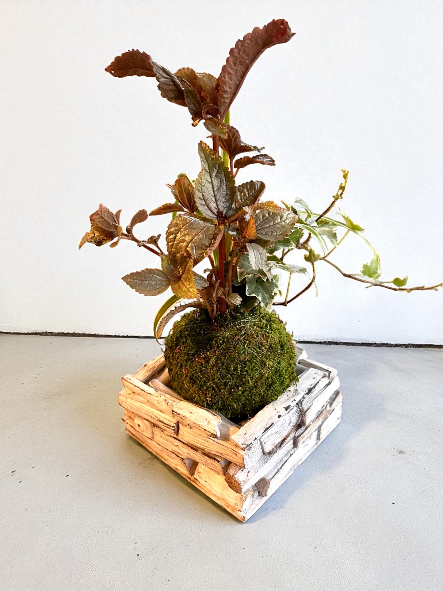 White Painted Wooden Square Plant Saucer – 6" x 6"