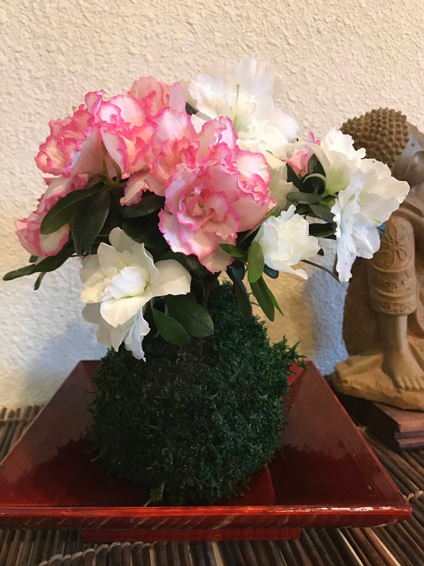 Kokedama - Moss ball with beautiful Azalea. Great gift idea for Mother's day!