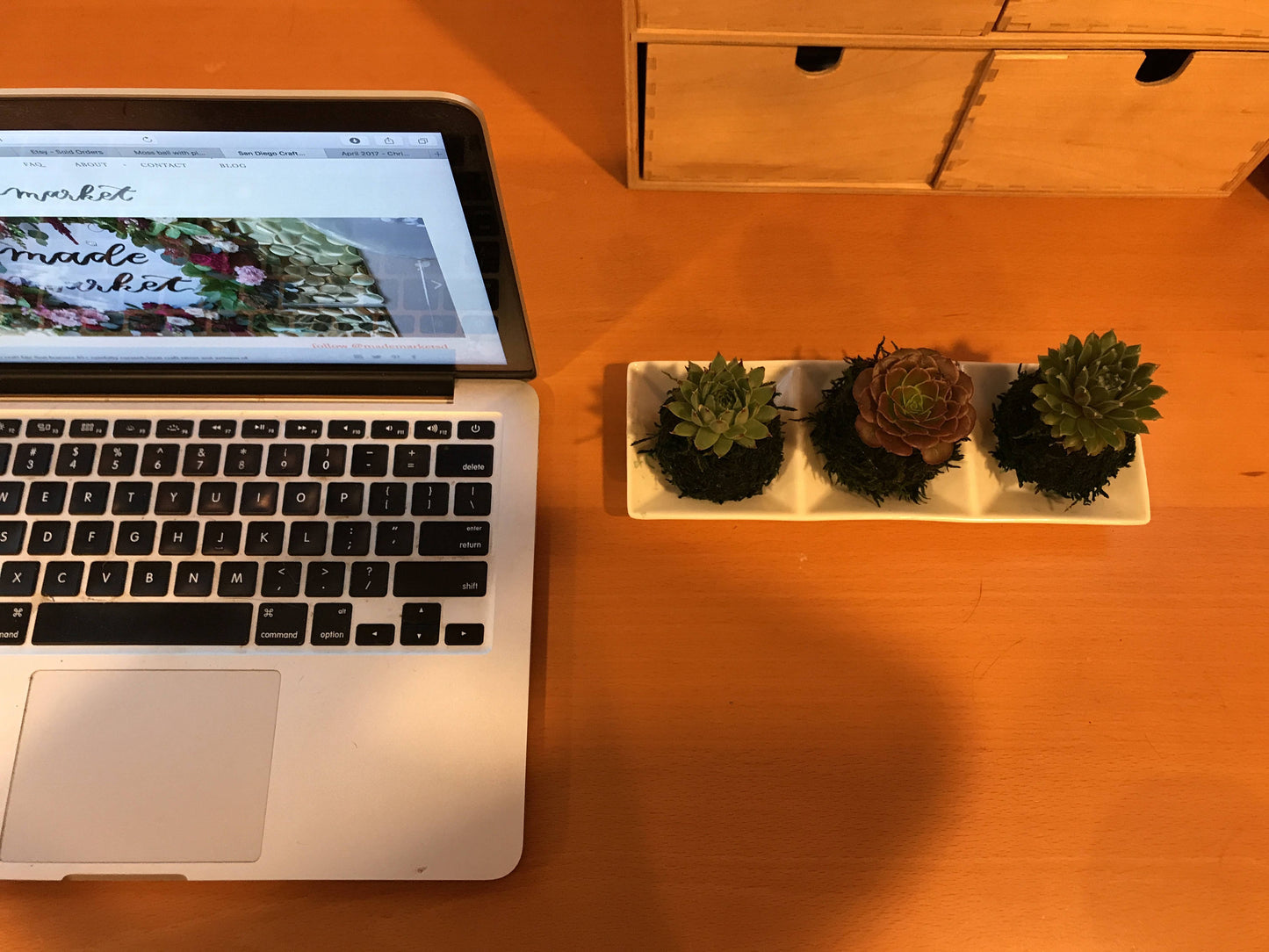 Mini succulents Kokedama - lowest price if you buy three! Available from one kokedama purchase.