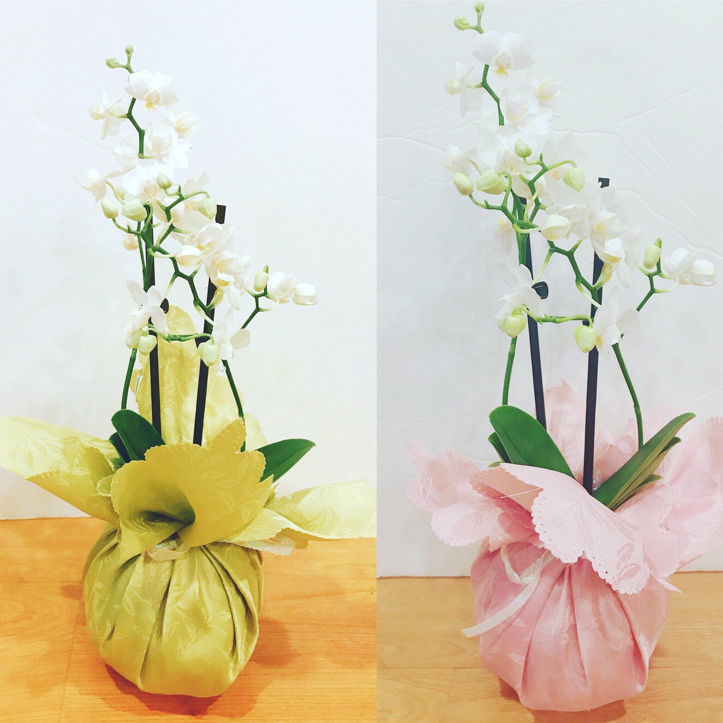 Gift Wrapping for Kokedama
