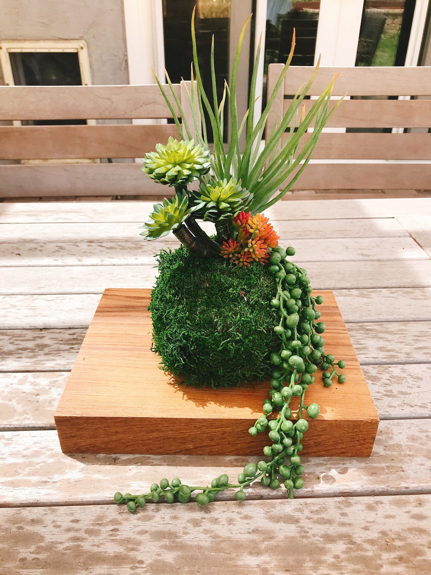 Kokedama - Artifitial plant Kokedama Arrangement, succulent arrangement.