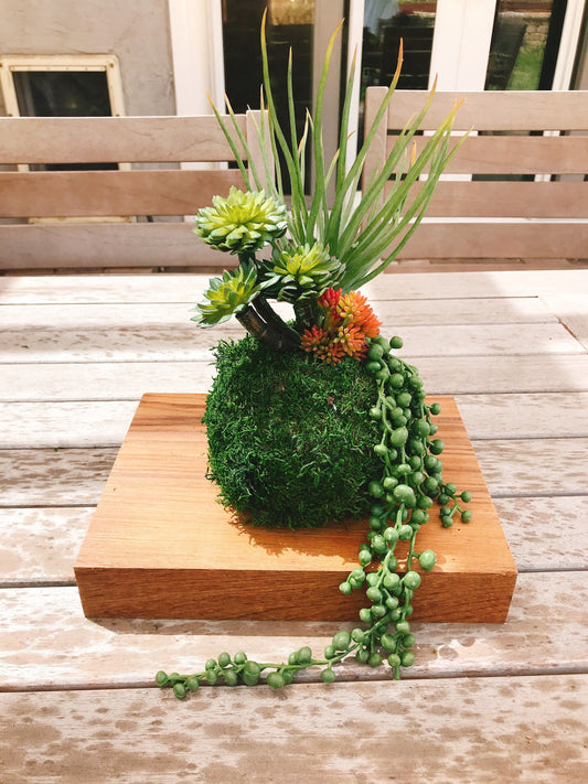 Kokedama - Artifitial plant Kokedama Arrangement, succulent arrangement.