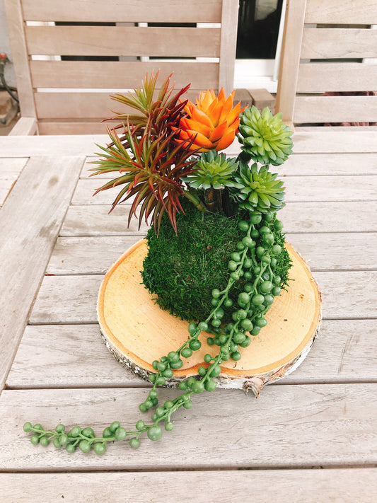 Kokedama - Artifitial plant Kokedama Arrangement, succulent arrangement.