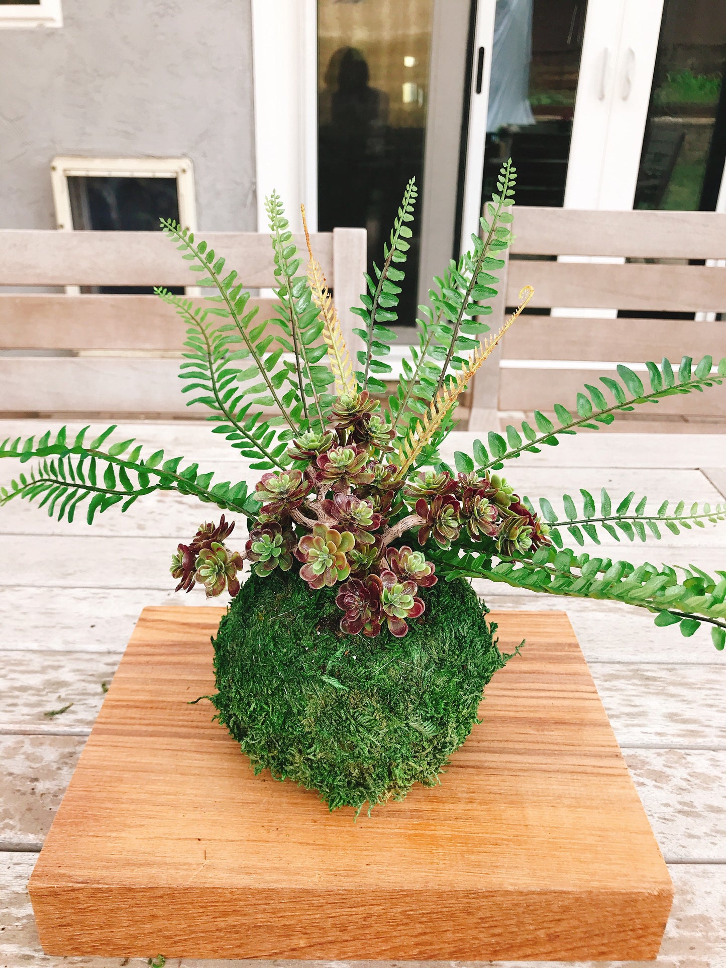 Kokedama - Artifitial plant Kokedama Arrangement, succulent arrangement.