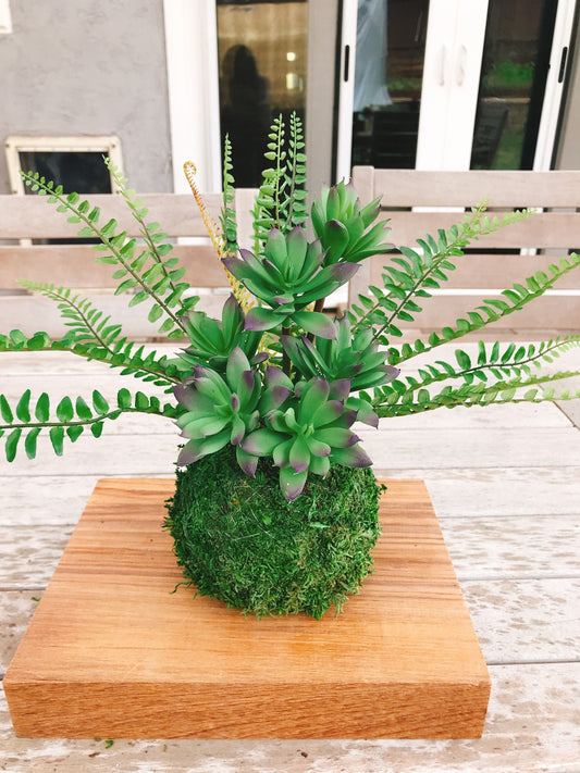 Kokedama - Artifitial plant Kokedama Arrangement, succulent arrangement.