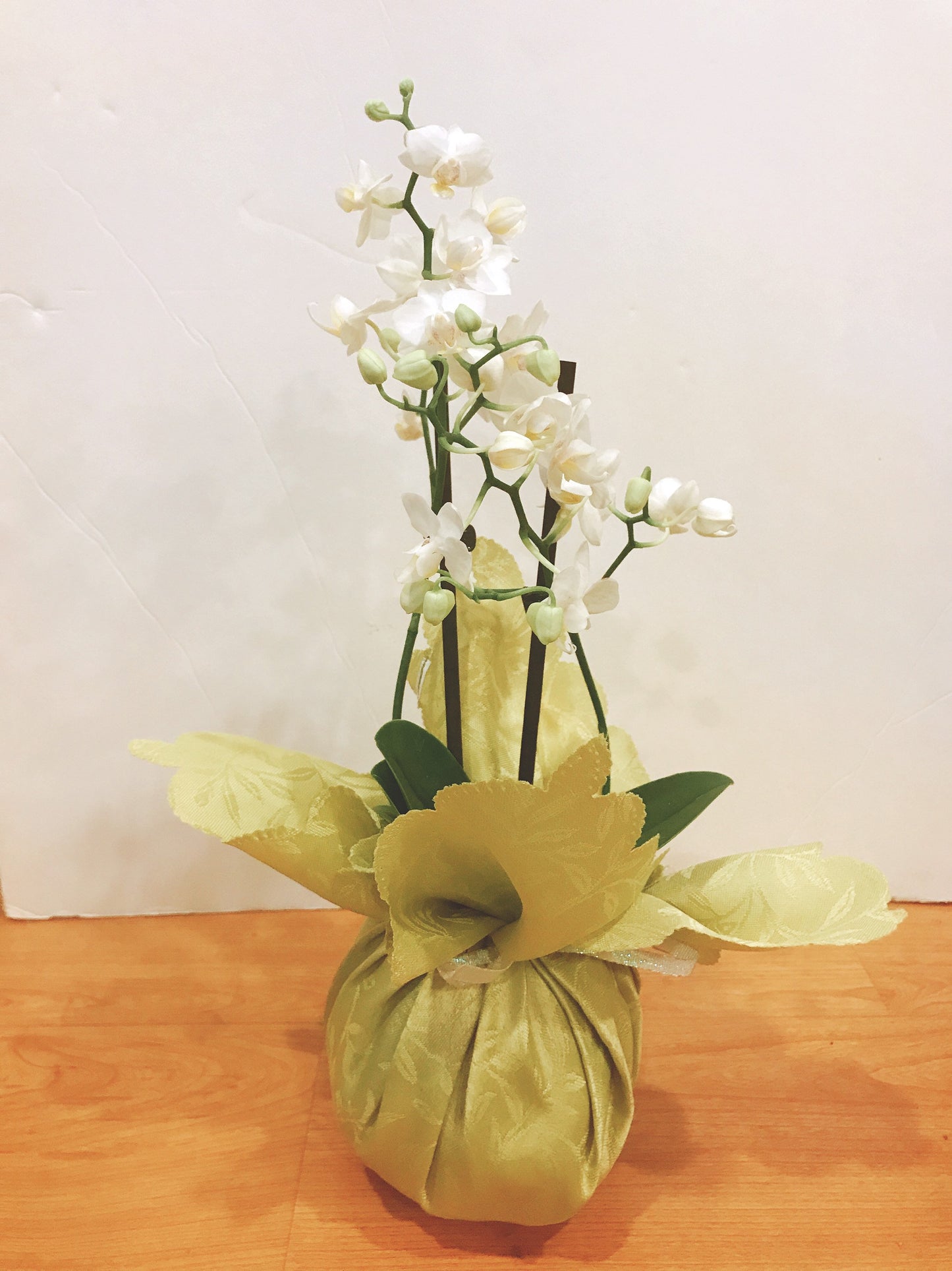 Gift Wrapping for Kokedama
