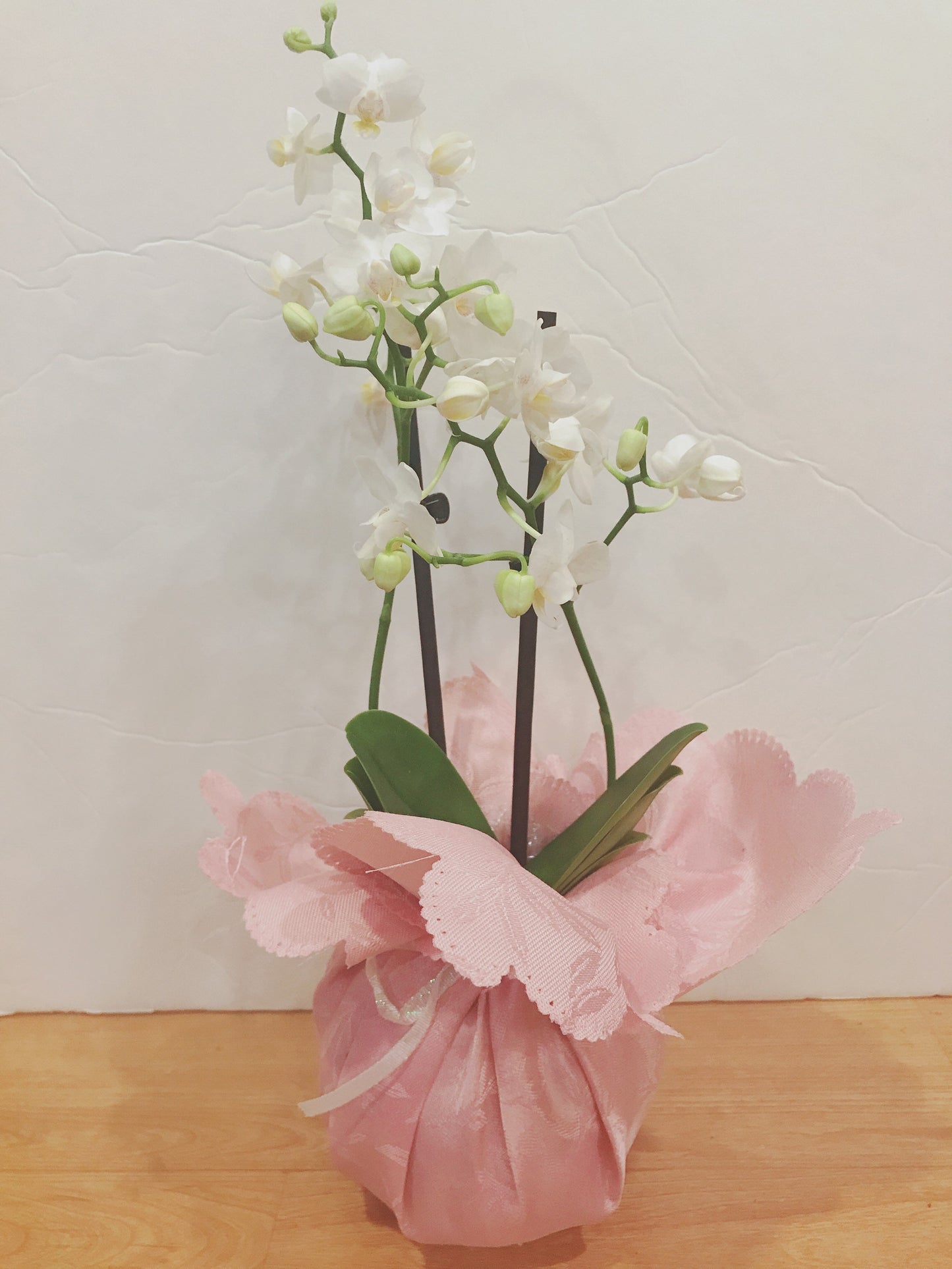 Gift Wrapping for Kokedama