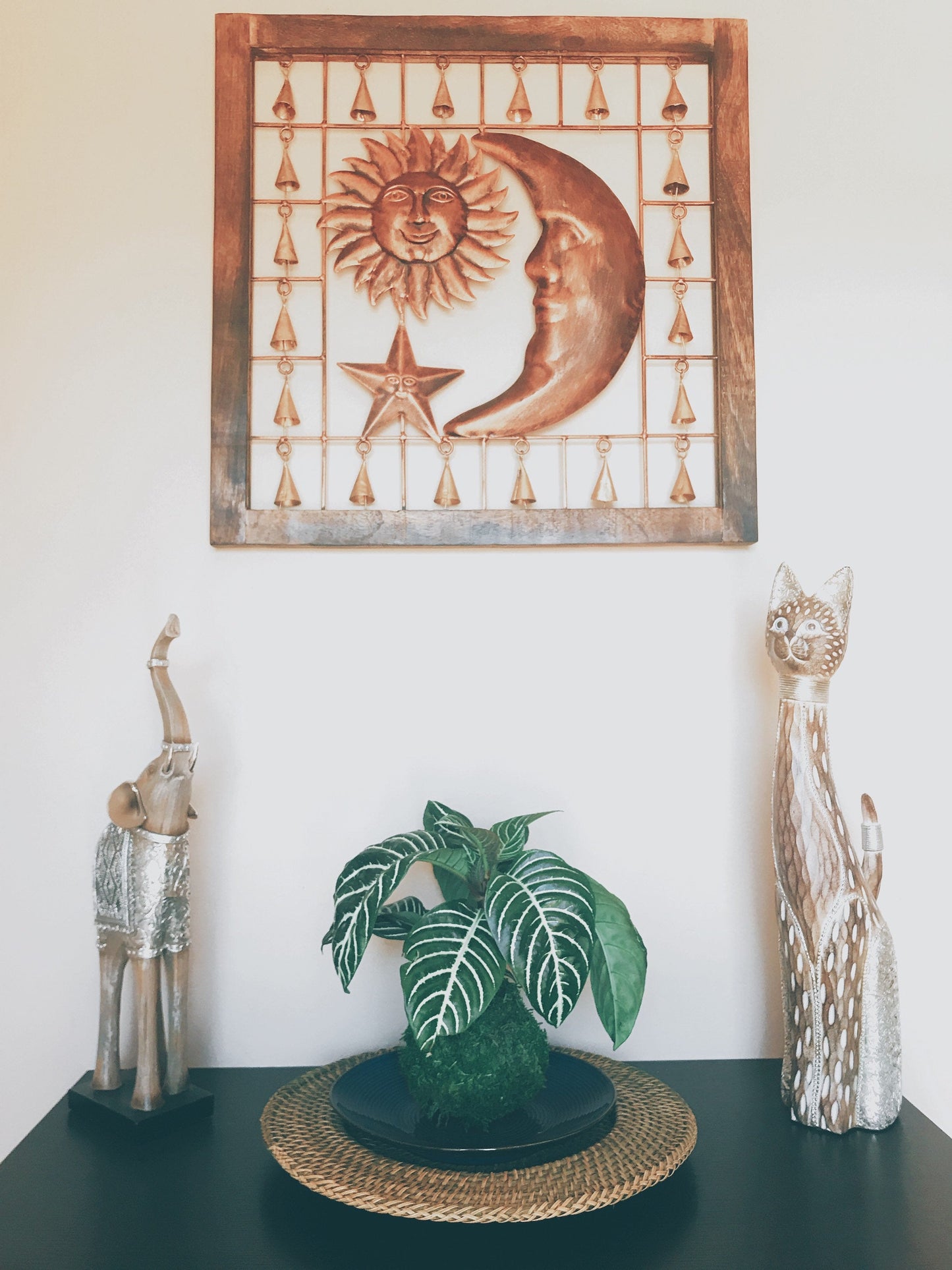 Zebra plant kokedama, mossball, Japanese traditional indoor garden technique.