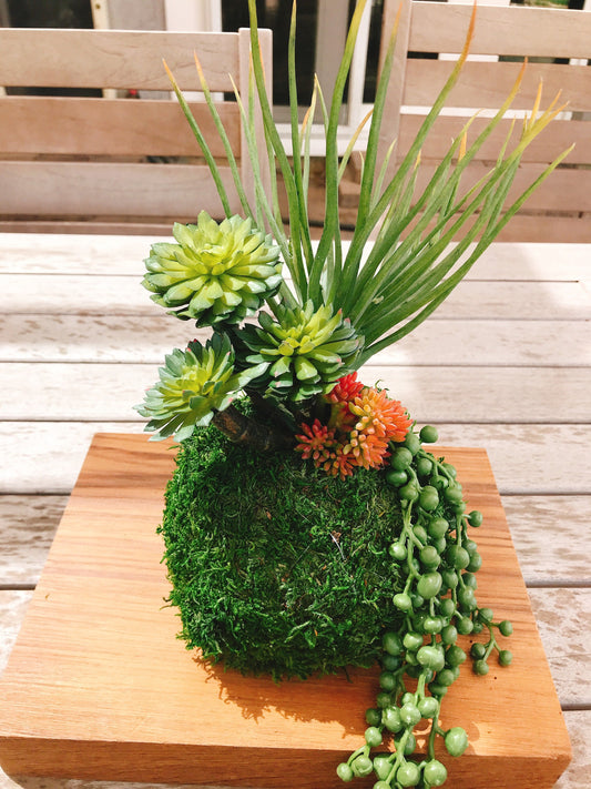 Kokedama - Artifitial plant Kokedama Arrangement, succulent arrangement.