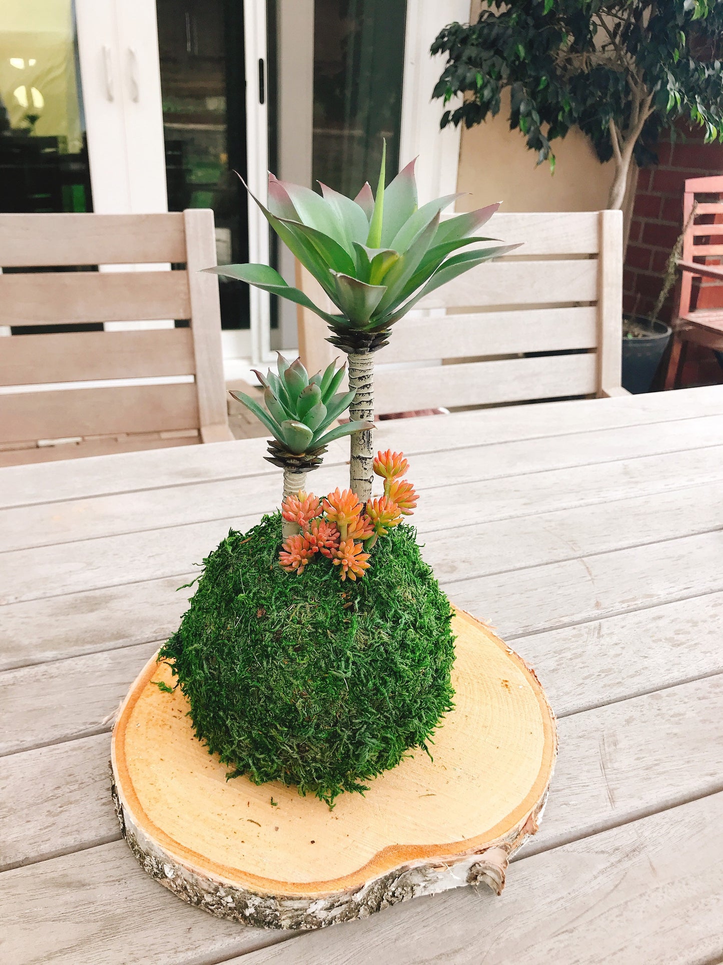 Kokedama - Artificial -care free plant Kokedama Arrangement, succulent arrangement.