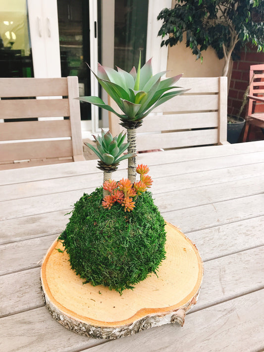 Kokedama - Artificial -care free plant Kokedama Arrangement, succulent arrangement.