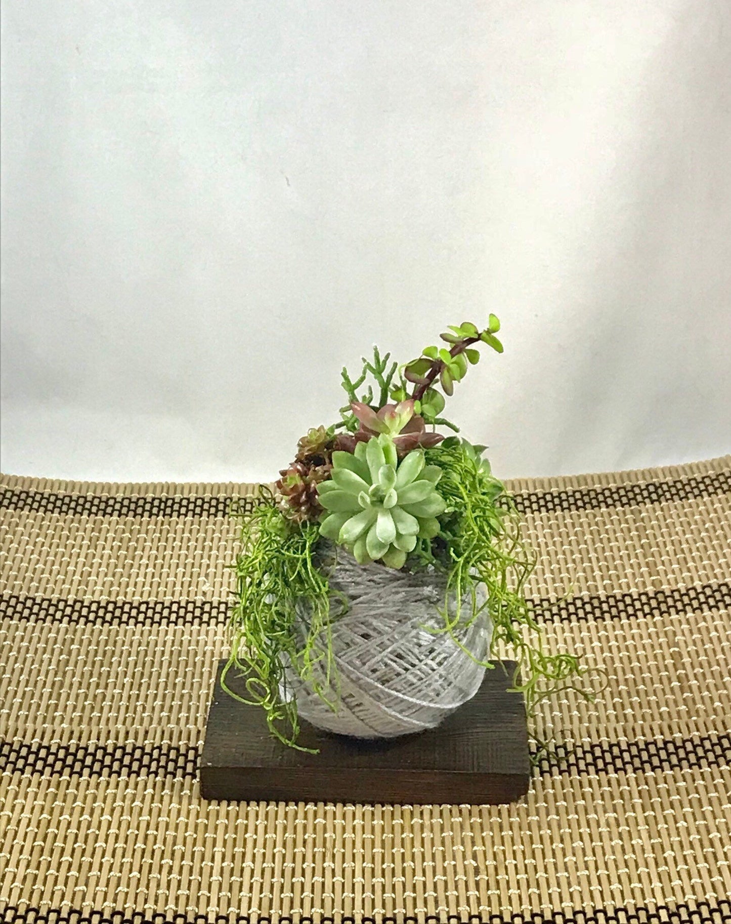 Assorted Succulents Kokedama - Moss ball, twined with yarn.  Custom engravimg message availble with request.