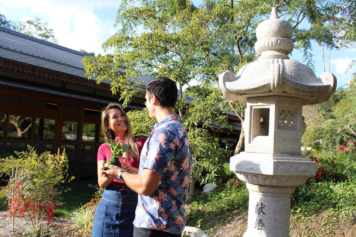 Anthurium - Pinkish purple Kokedama beautiful soft purple color. Peaceful, healing, Gift made with love.