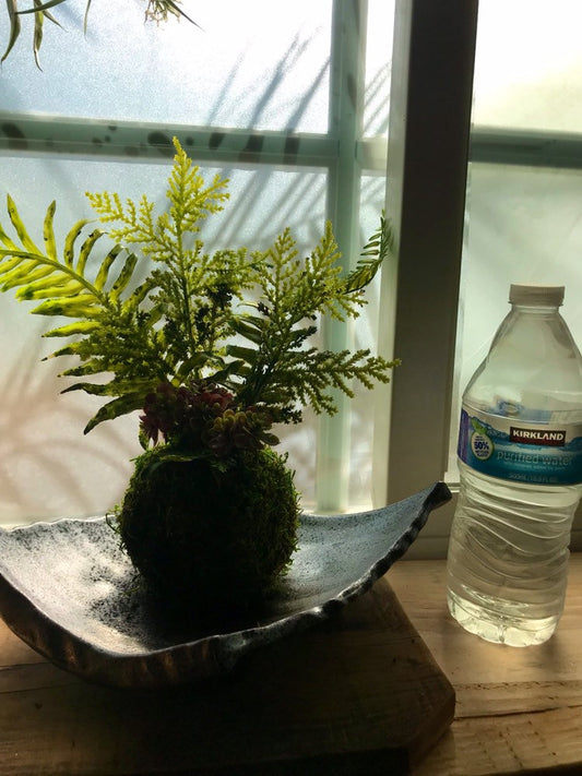 Kokedama - Artifitial plant Kokedama Arrangement, succulent arrangement. Small size 3~4 inch sphere