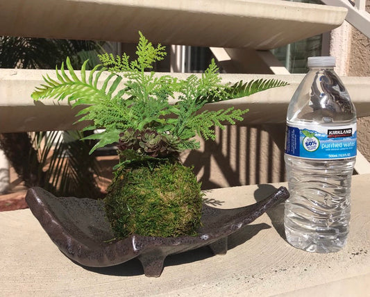 Kokedama - Artifitial plant Kokedama Arrangement, succulent arrangement. Small size 3~4 inch sphere