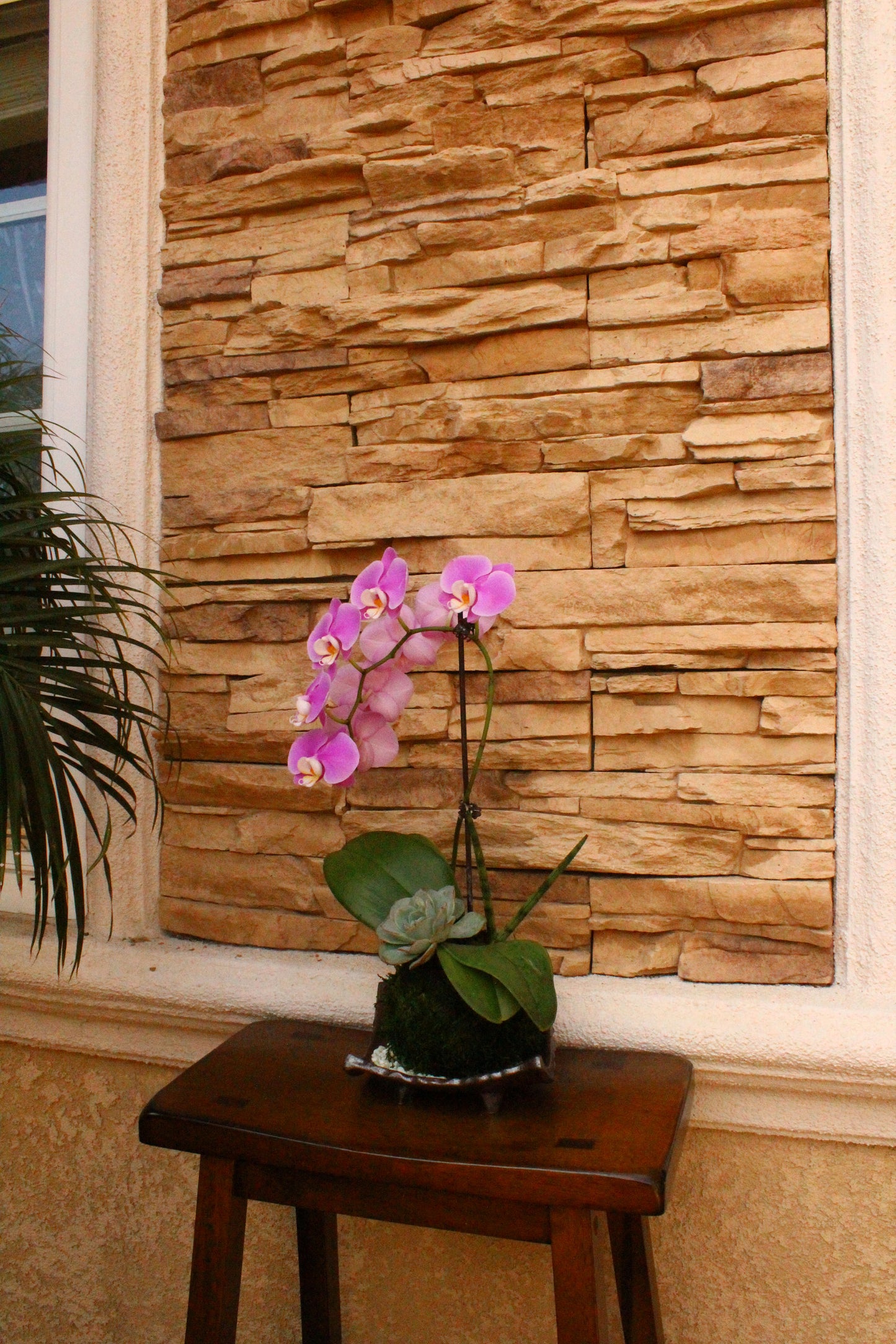 Kokedama - Moss ball with beautiful purplish pink orchid  with succulents, enjoy with succulent after orchid blooming!