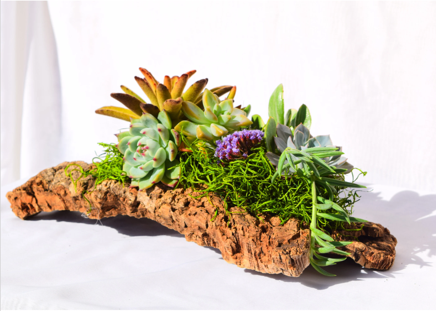 Earth & Air Creations