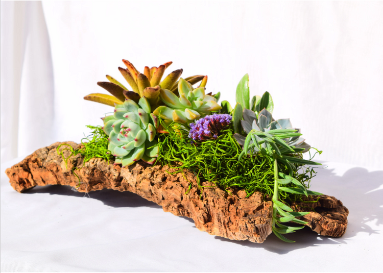 Earth & Air Creations